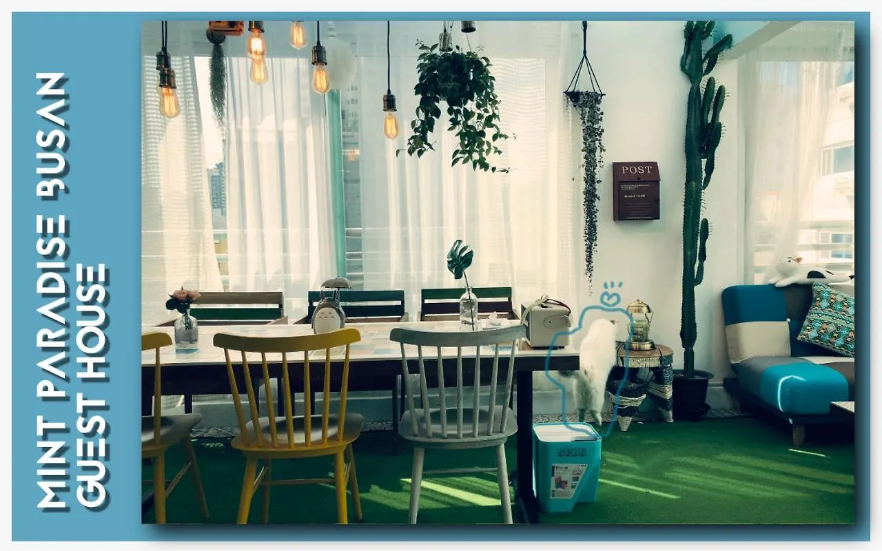 Guest house Mint Paradise Busan